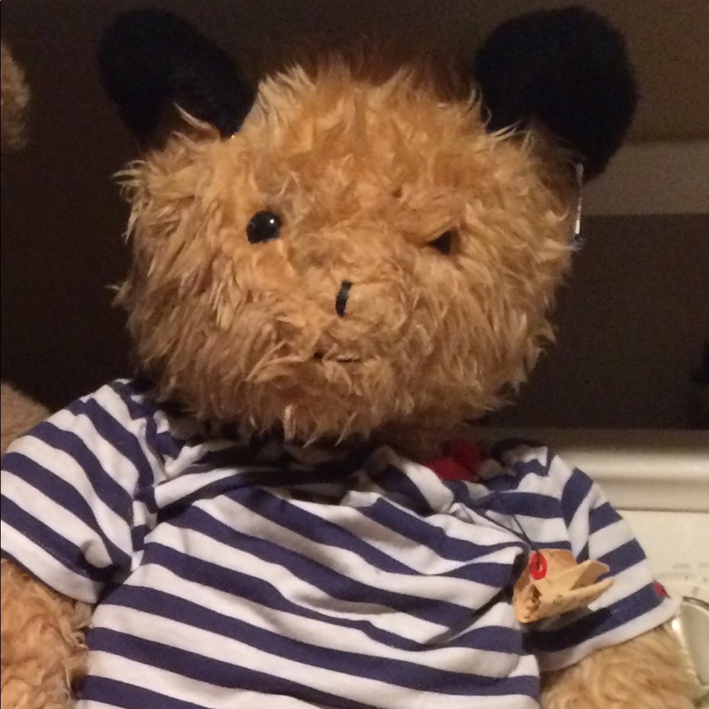 Vintage 1975 Eden Paddington Bear